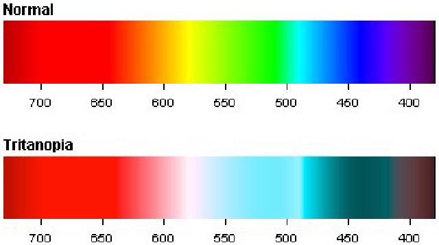 Example image